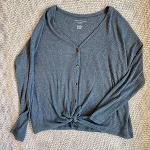 AE plush v-neck button up sweater